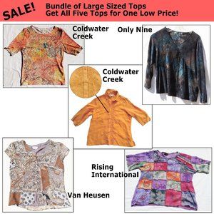 Bundle of 5 tops; all 5 for one low price! Quality brands all in very good cond.